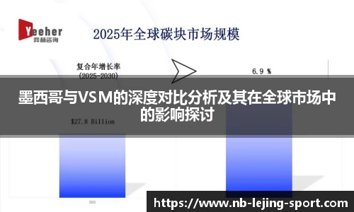 墨西哥与VSM的深度对比分析及其在全球市场中的影响探讨